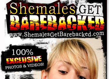 Shemales Get Barebacked